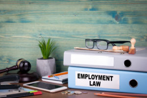 employment law attorney haddonfield nj