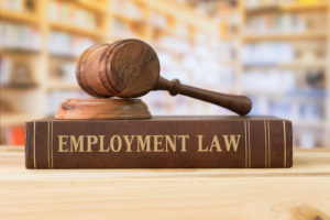 employment law attorney haddonfield nj